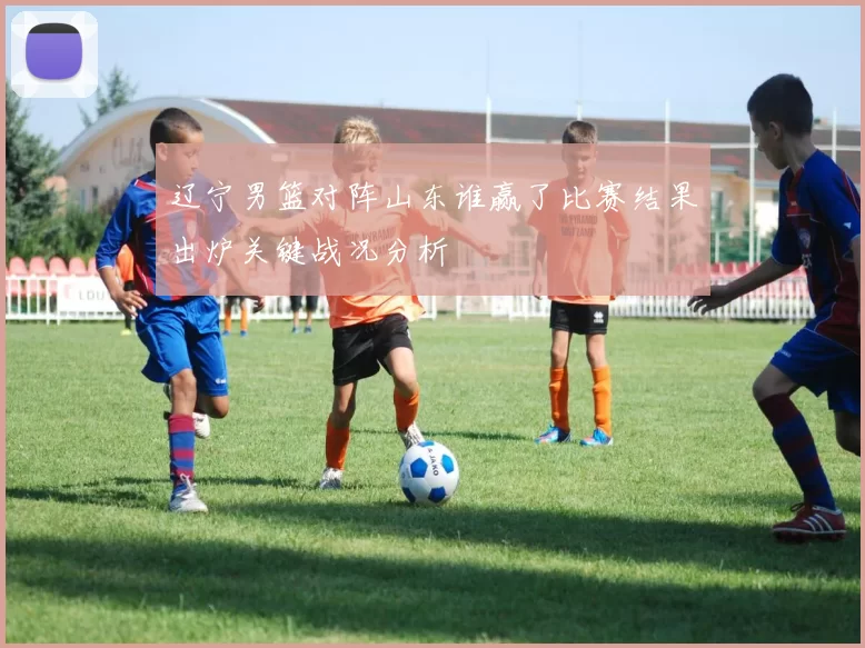 辽宁男篮对阵山东谁赢了比赛结果出炉关键战况分析