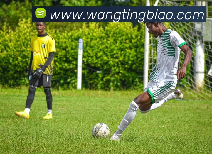 App Interface Preview